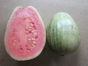 斑入りグアバの果実